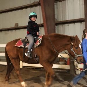 Meet your Posher, Tracy